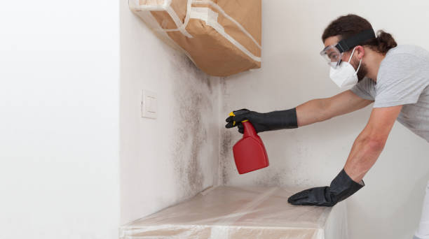 Professional Black Mold Remediation technician working in Benson, NC