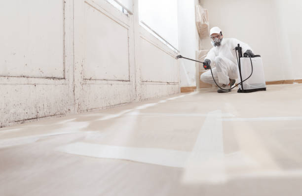 24/7 Emergency Black Mold Remediation experts in Benson, NC