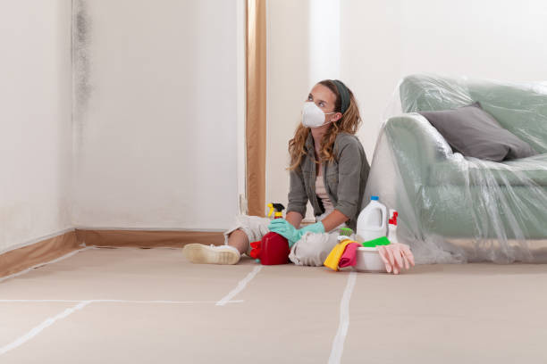 Reliable Black Mold Remediation contractor in Benson, NC by Car Mold Remediation